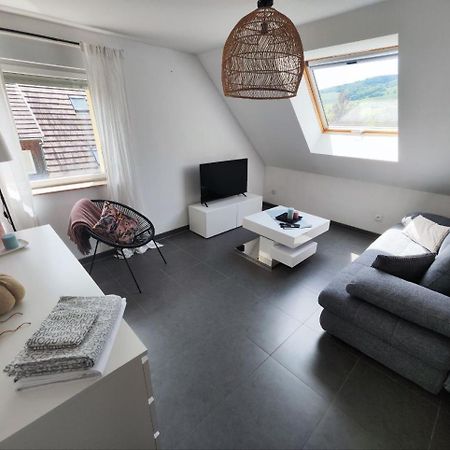 Bel Appartement En Centre Alsace คินท์ซไฮม์ ภายนอก รูปภาพ